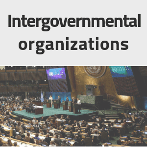 Intergovernmental organizations